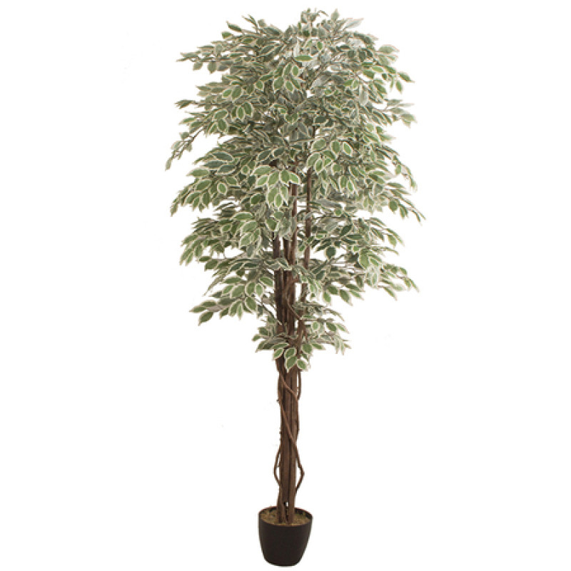 Mākslīgais augs FICUS 2.40m